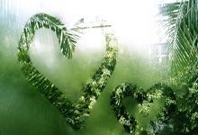 天涯论坛乔任梁事件：一场网络暴力的血色哀歌